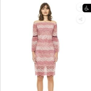 ALEXIA ADMOR
CAROL BELL SLEEVE LACE CONTRAST DRESS